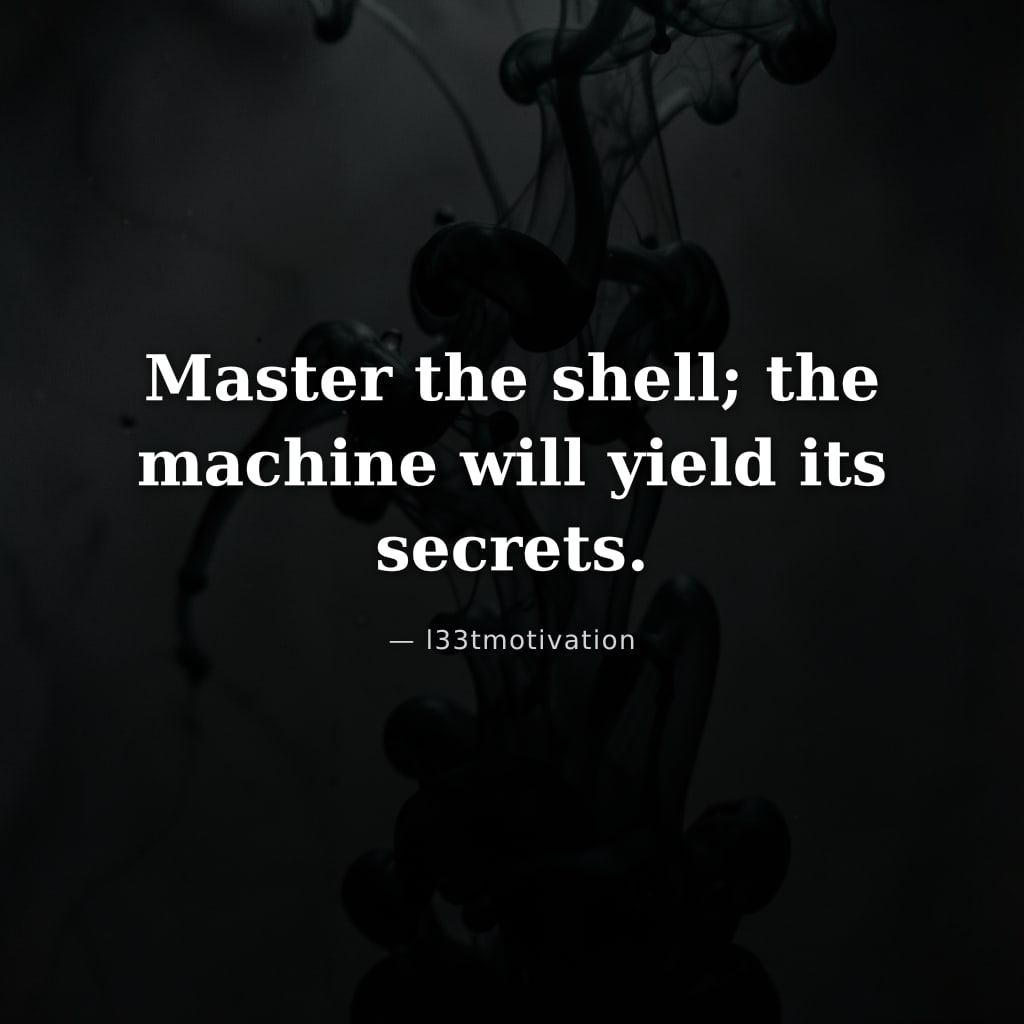 Master the shell; the machine will yield its secrets.